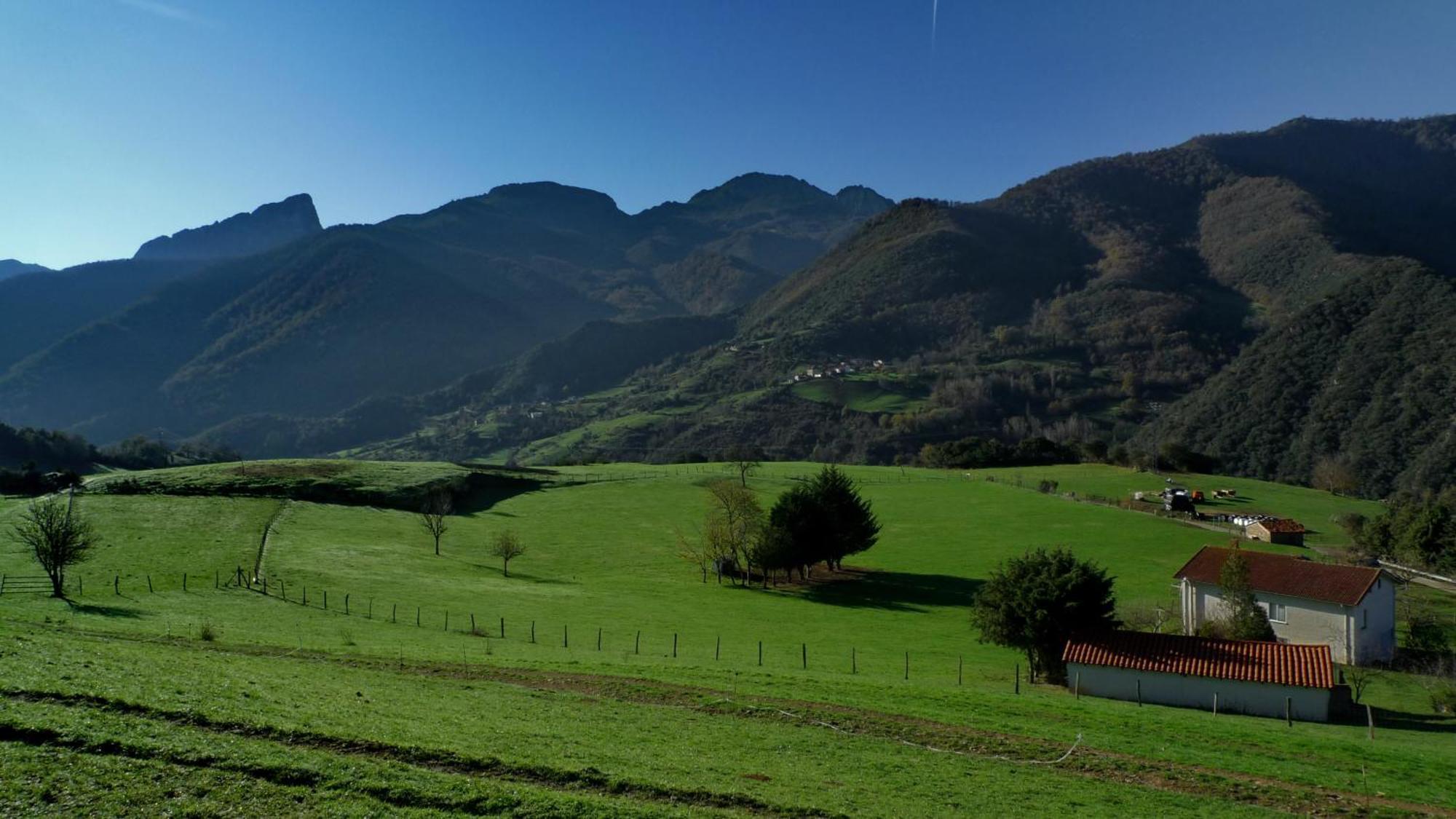 Posada Valle Del Oso Lerones Exteriér fotografie